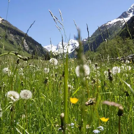 Pensjonat Garni Roesslhof 3*