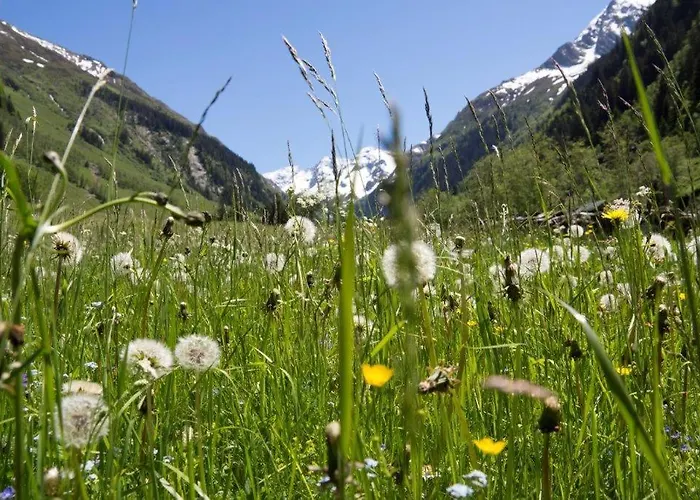Gæstehus Garni Roesslhof 3*