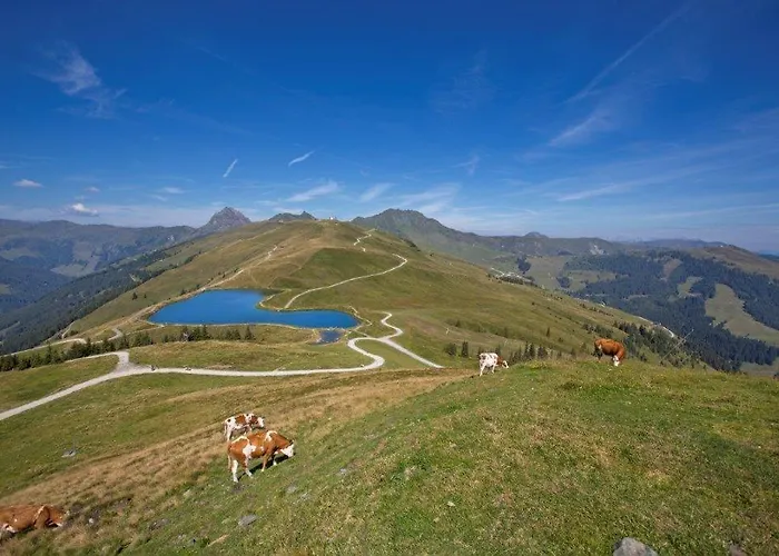 Garni Roesslhof 3*